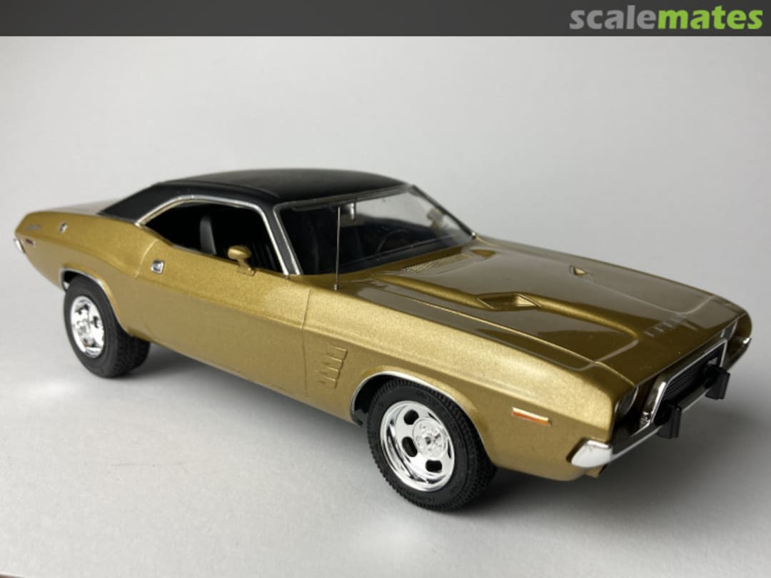 View album, image #1