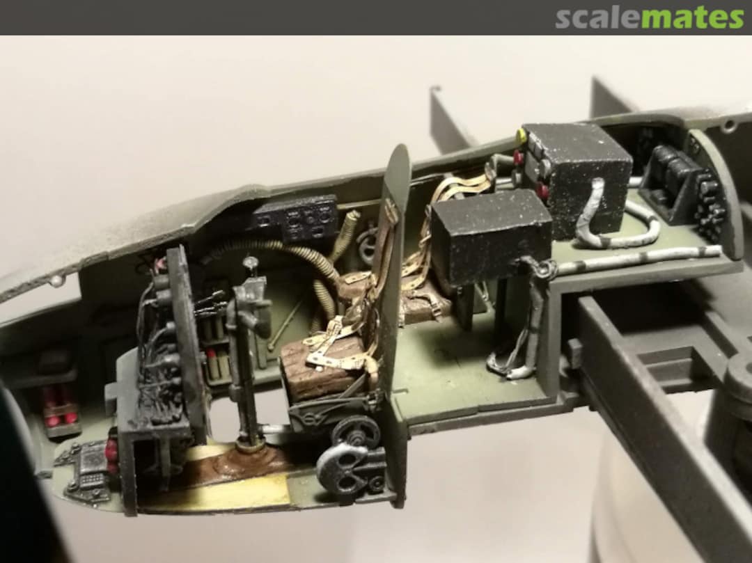 View album, image #3