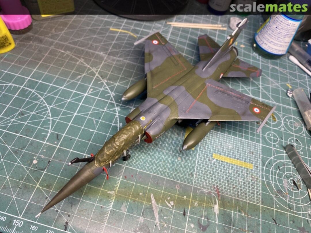 View album, image #11 View album, image #11