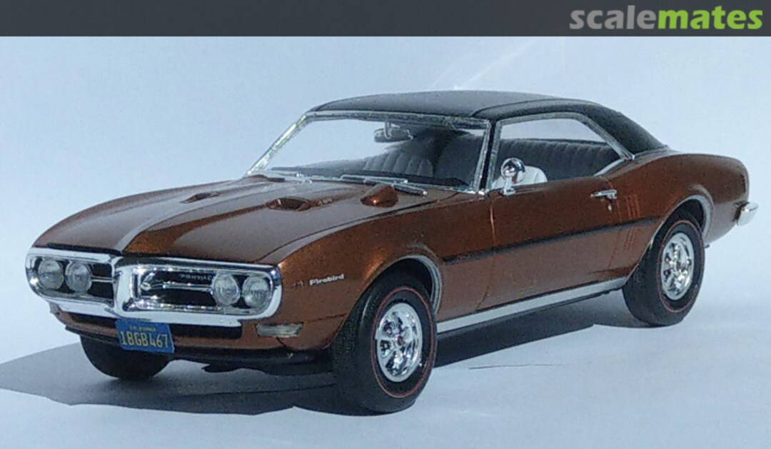 View album, image #2