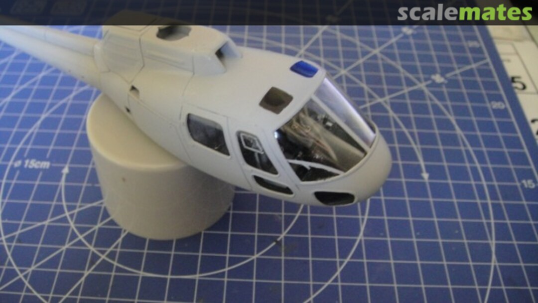 View album, image #8 View album, image #8