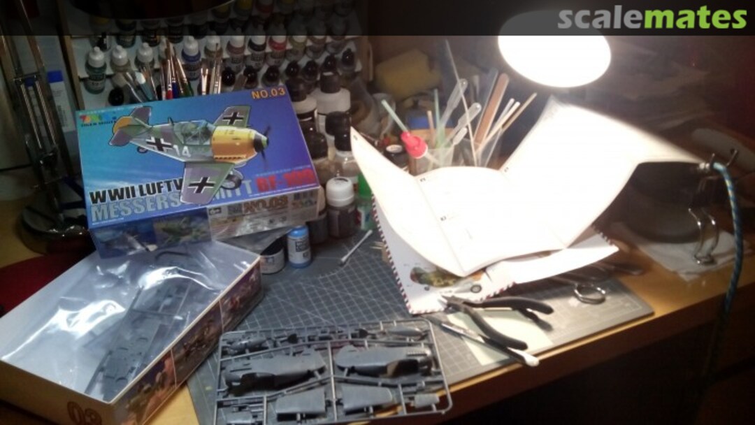 View album, image #1 View album, image #1