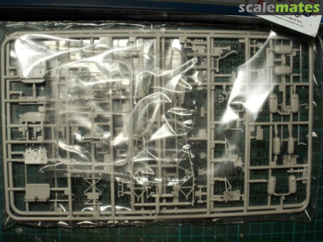 View album, image #1 View album, image #1