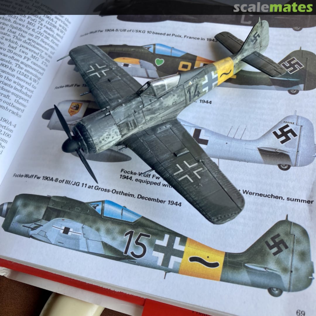 View album, image #3 View album, image #3