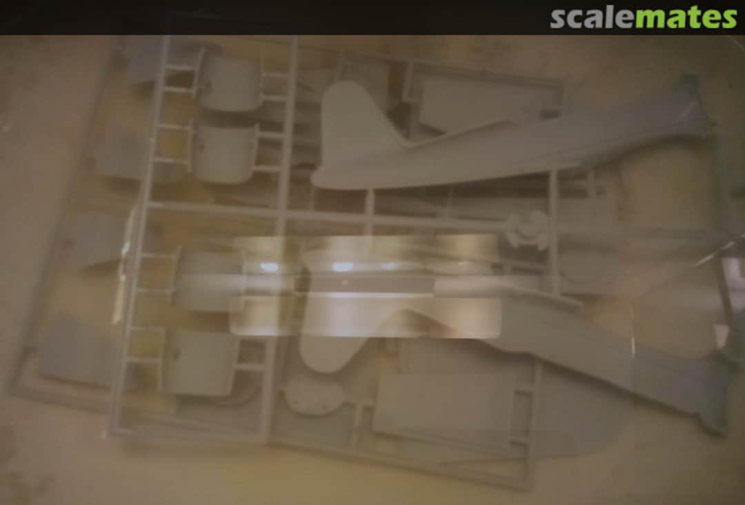 View album, image #1