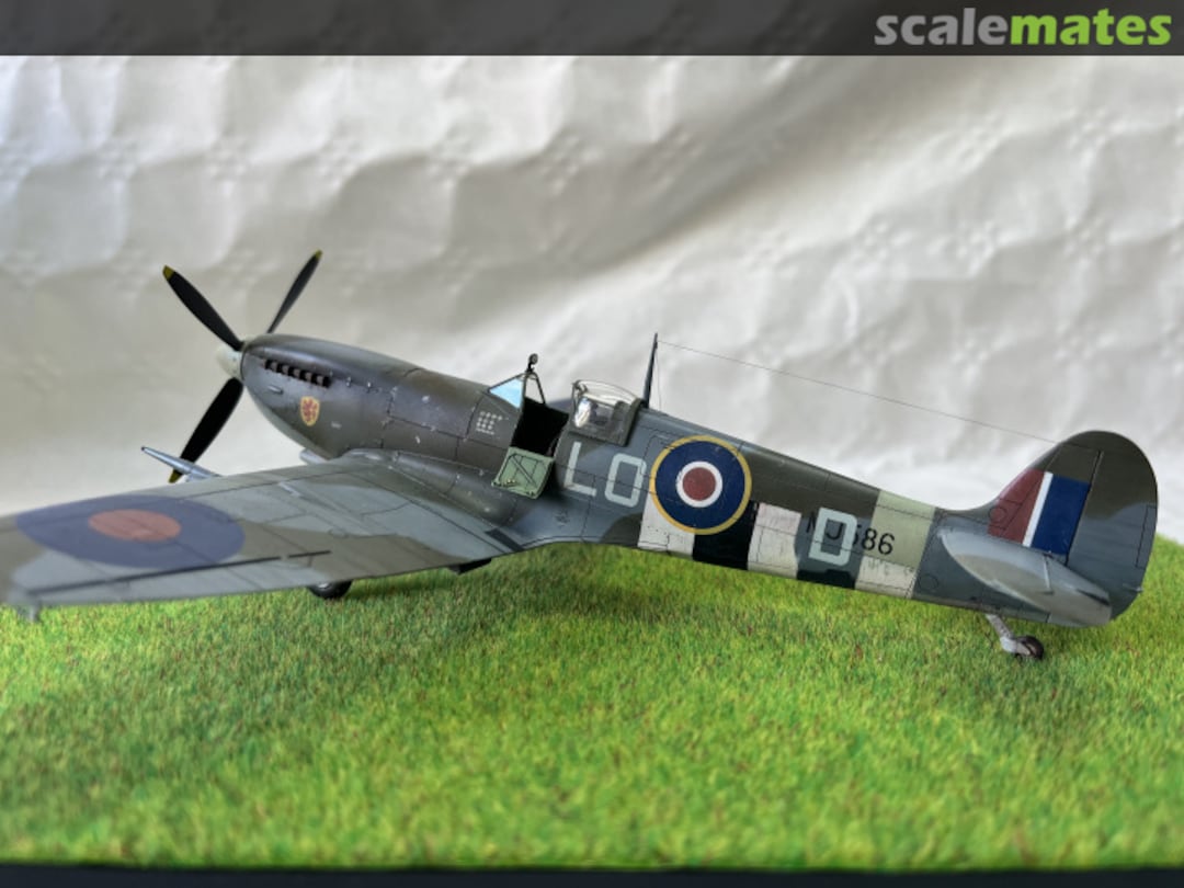 View album, image #1 View album, image #1