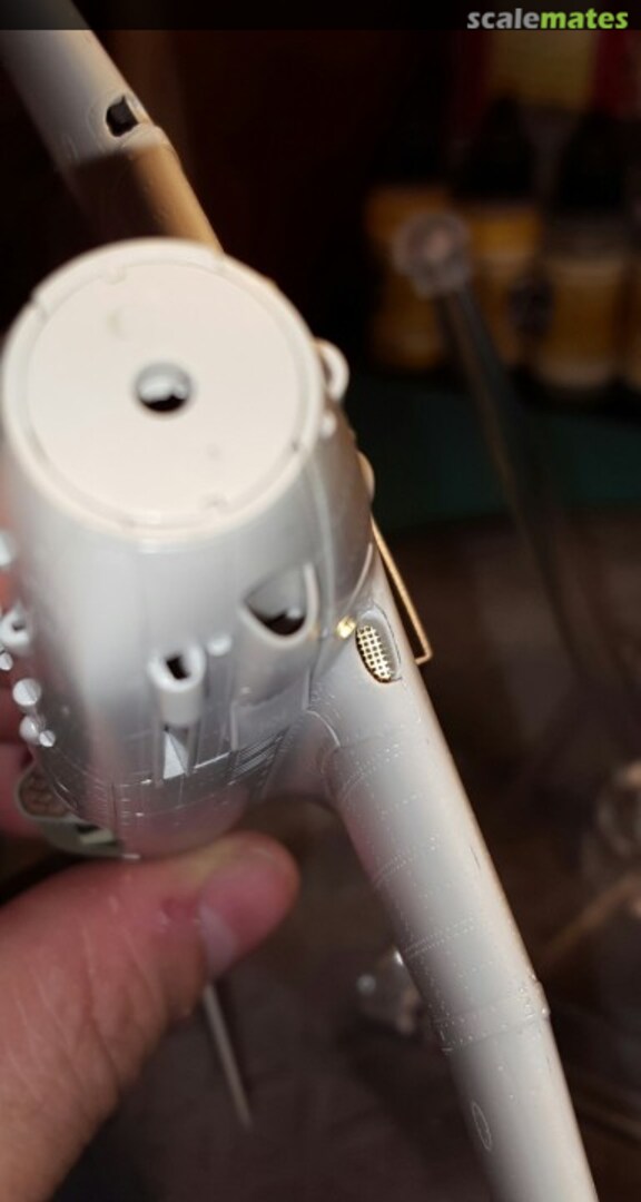 View album, image #1 View album, image #1