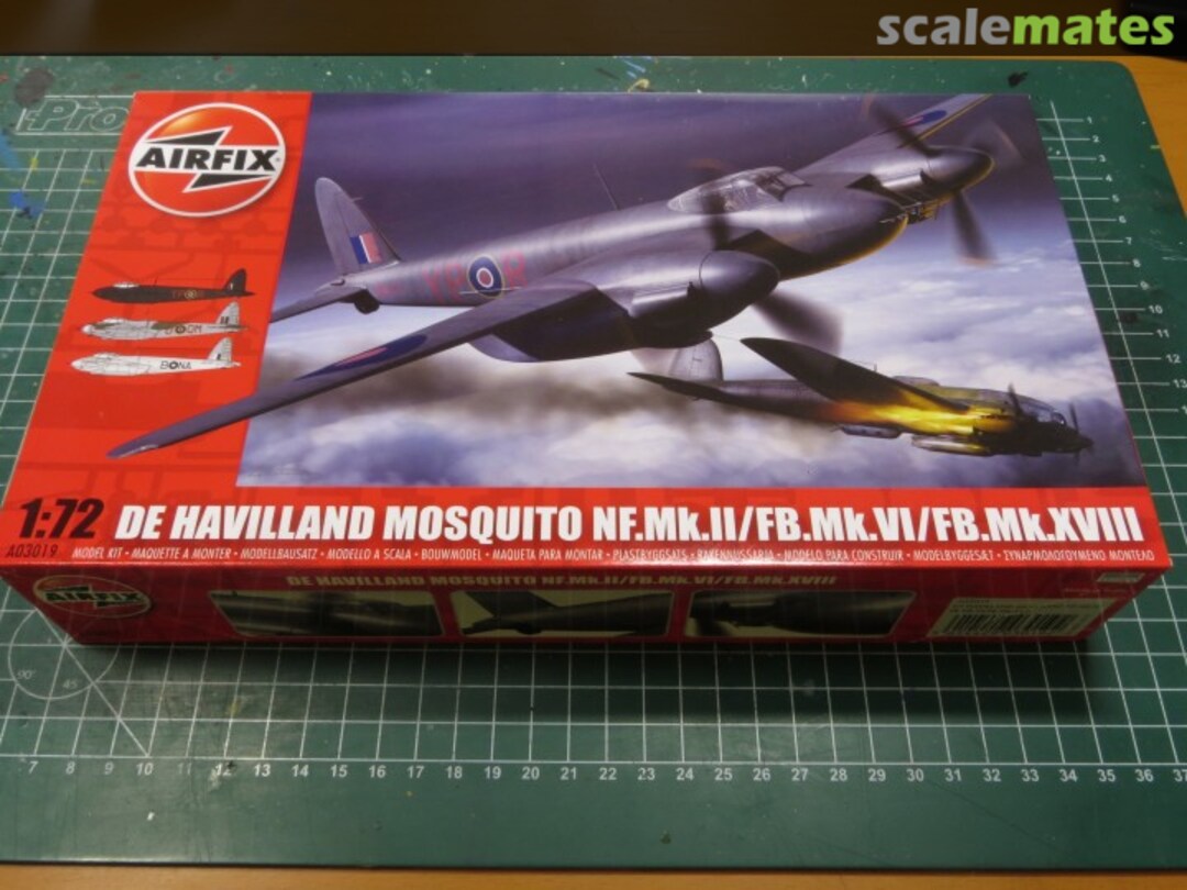 View album, image #1 View album, image #1