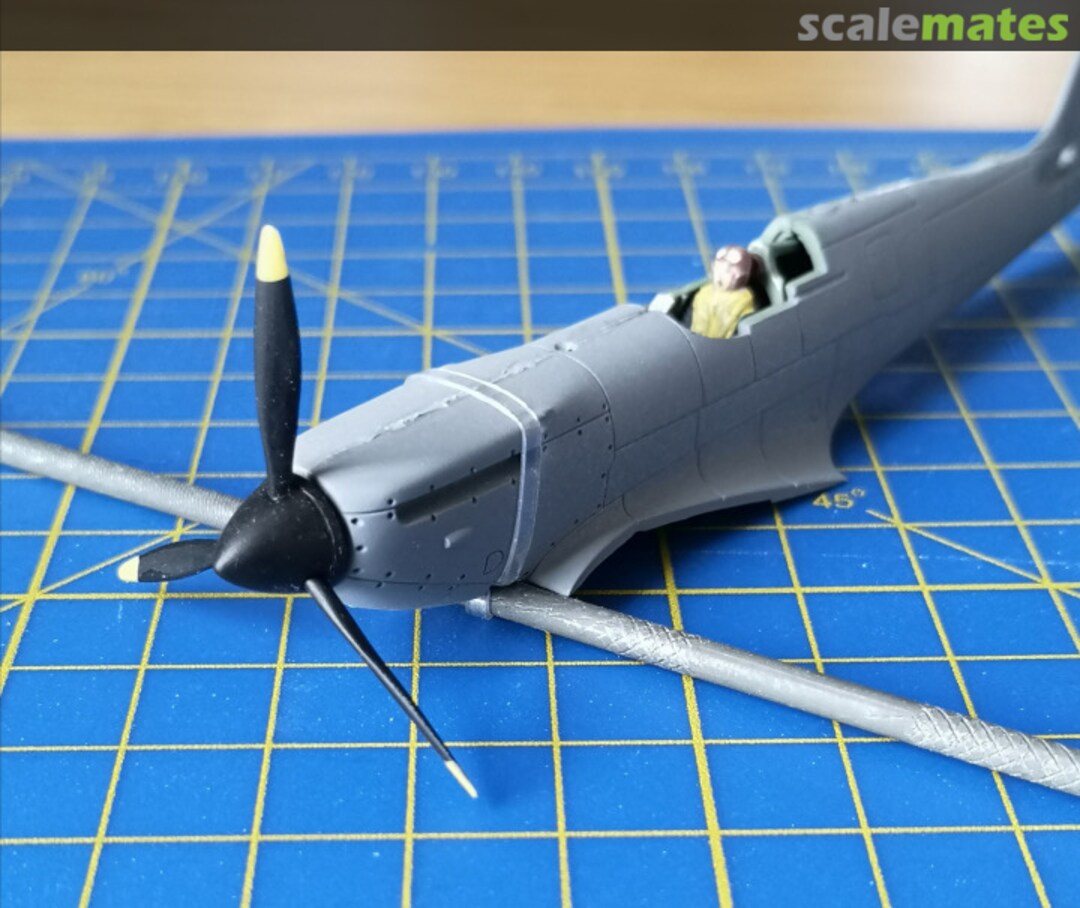 View album, image #3 View album, image #3