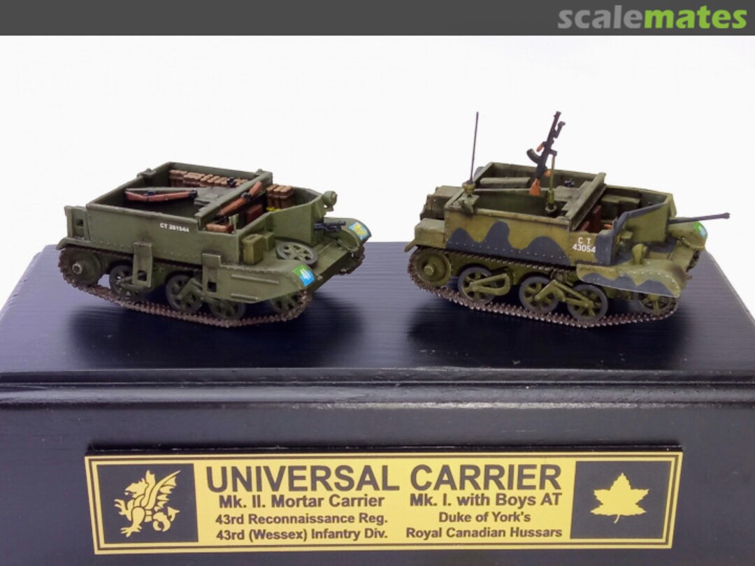 View album, image #11 View album, image #11