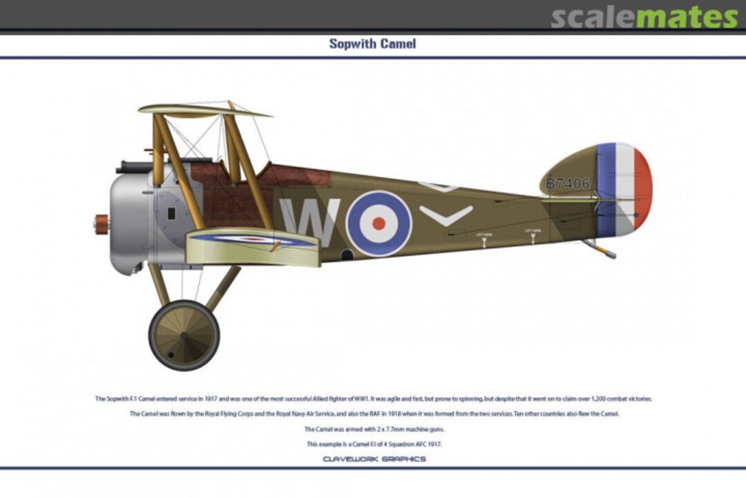 View album, image #1 View album, image #1