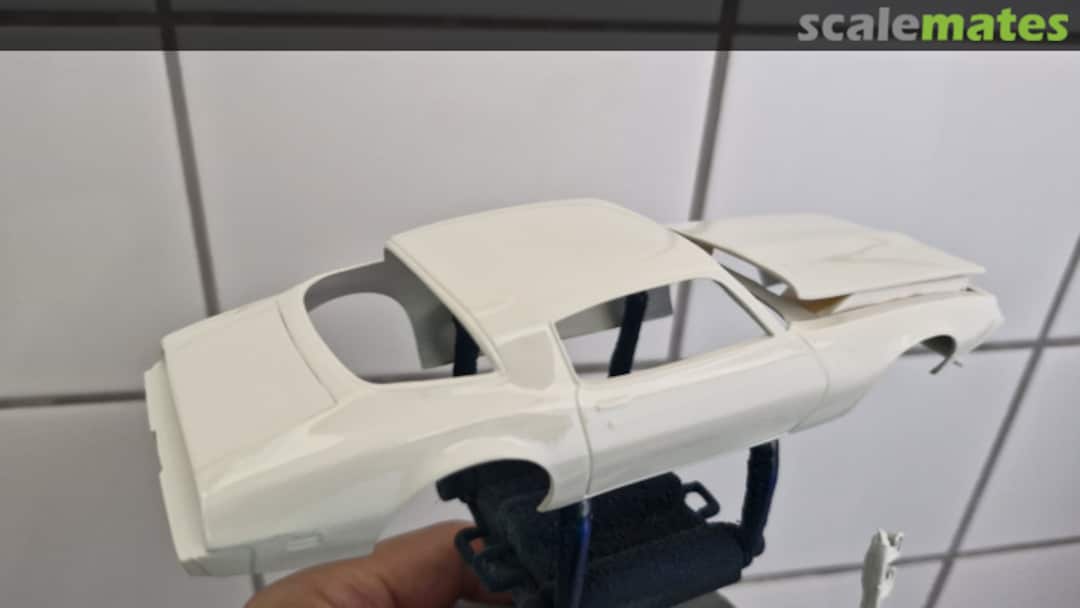 View album, image #17 View album, image #17