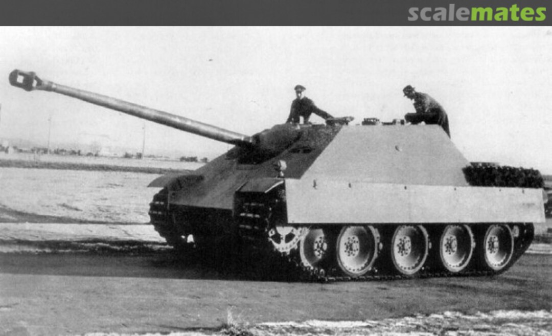 View album, image #1 View album, image #1