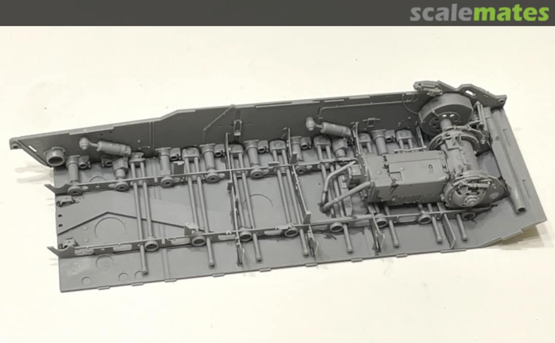 View album, image #1 View album, image #1