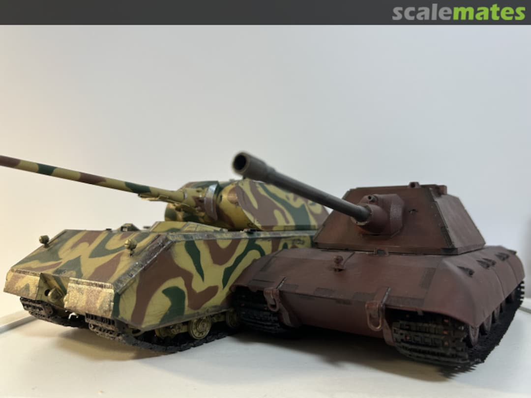 View album, image #1 View album, image #1