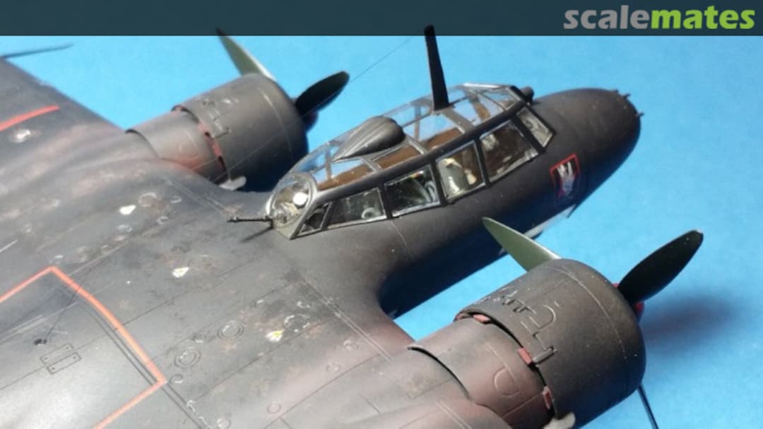 View album, image #5 View album, image #5