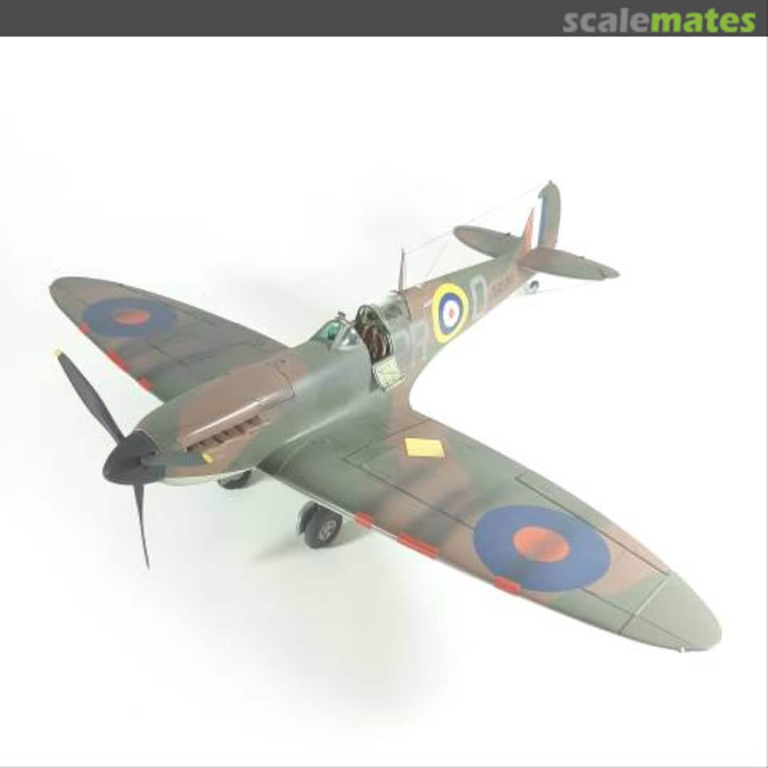 View album, image #65 View album, image #65