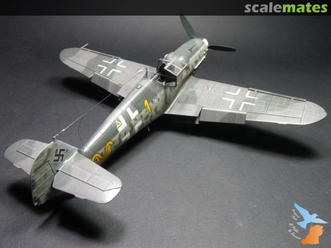 View album, image #1 View album, image #1