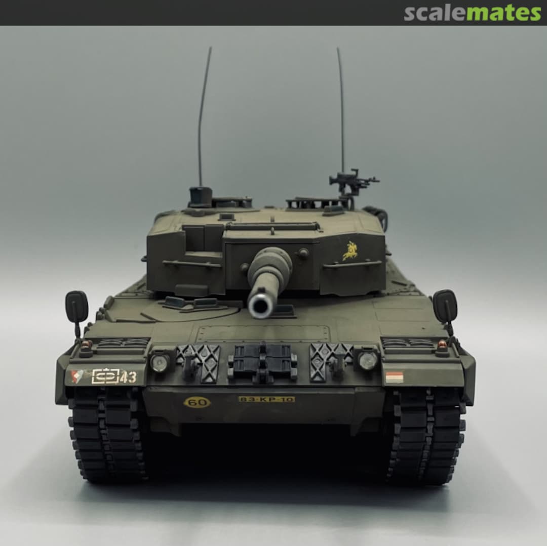 View album, image #17 View album, image #17