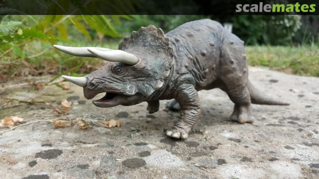 View album, image #5