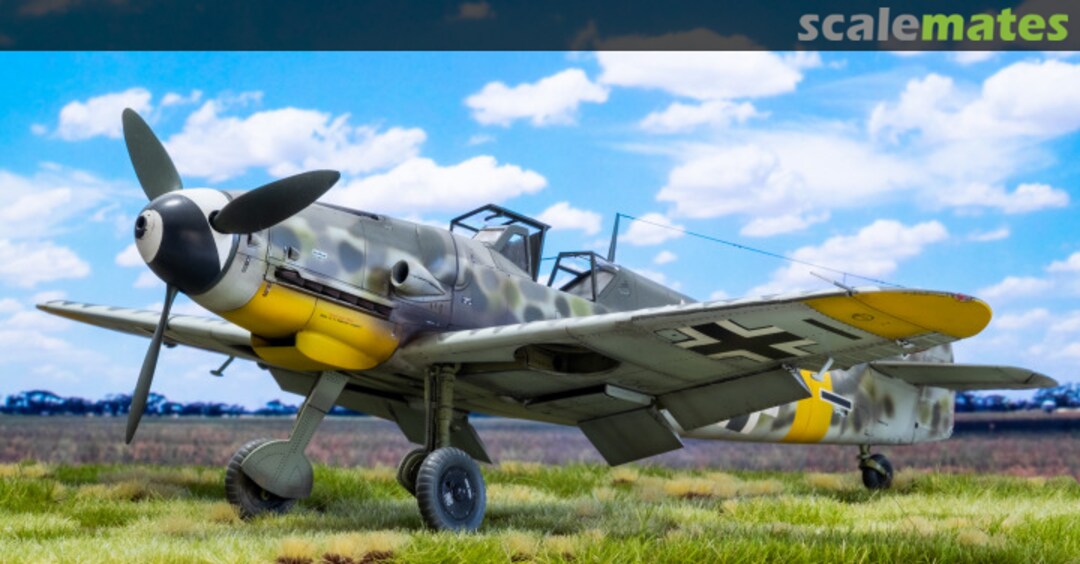 View album, image #23 View album, image #23