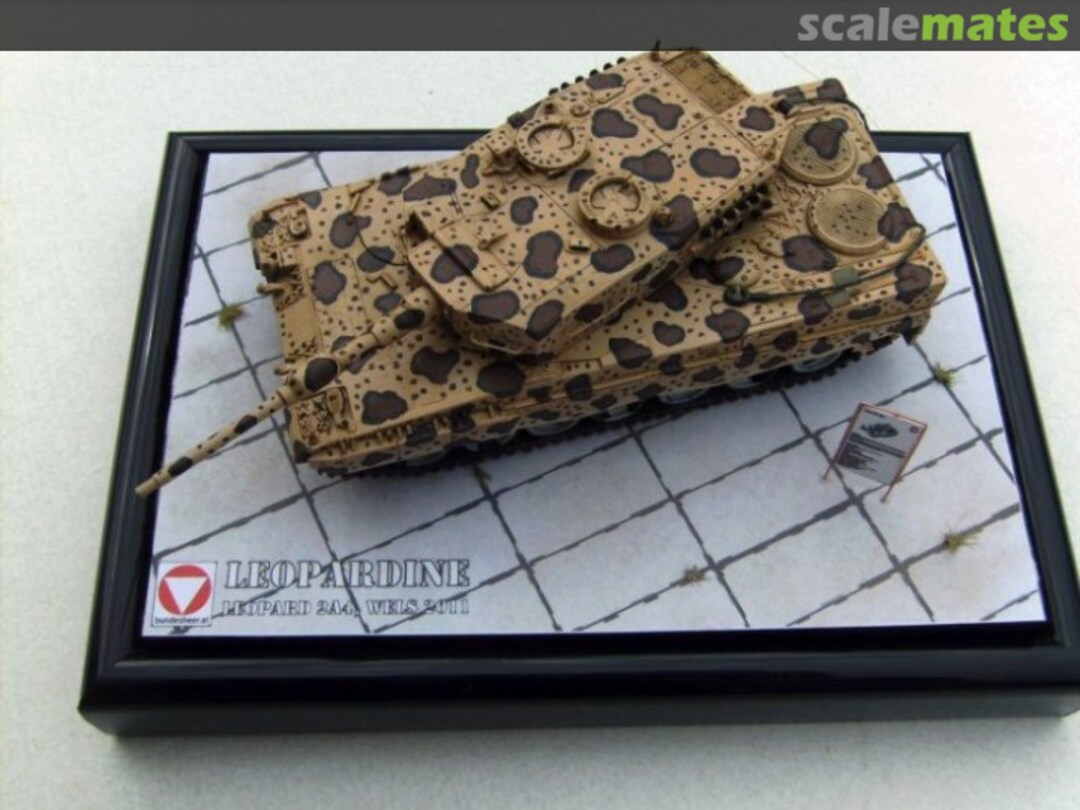 View album, image #1