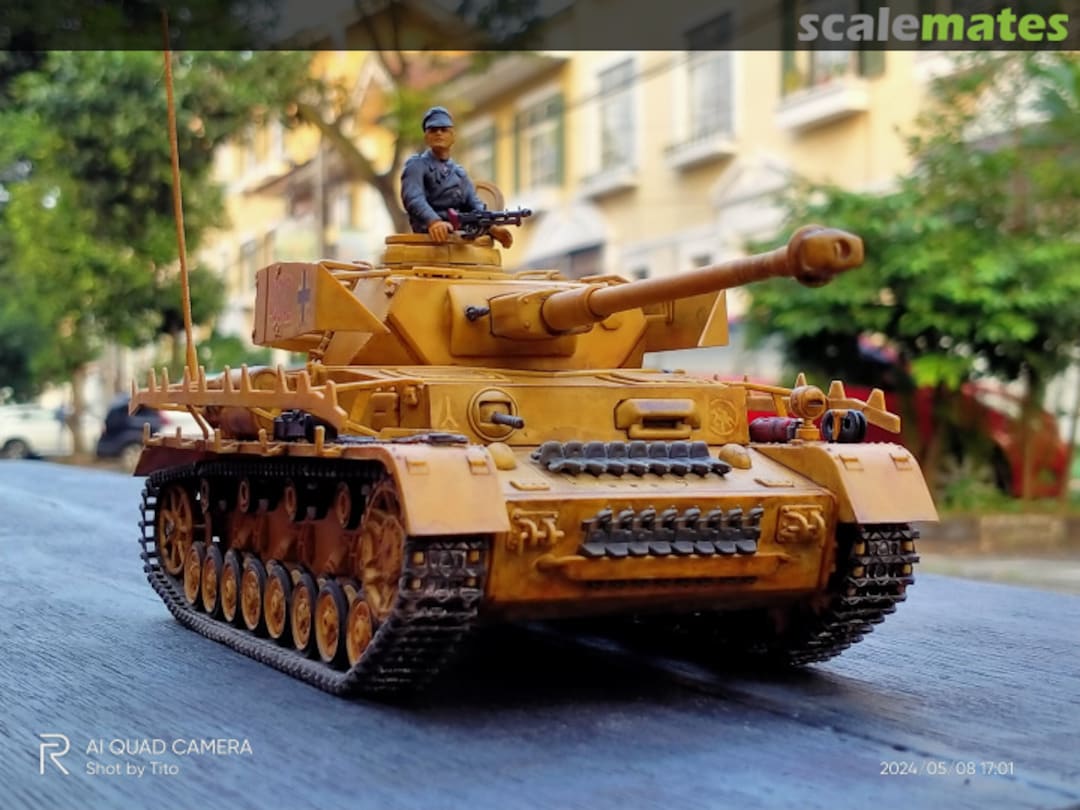 View album, image #21 View album, image #21