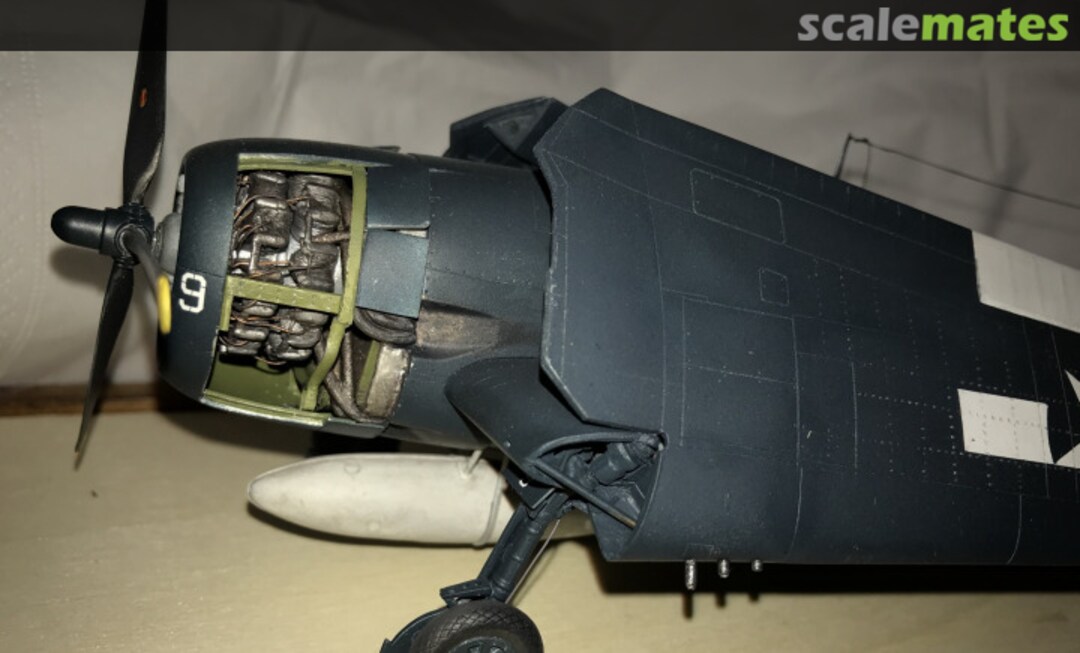 View album, image #1 View album, image #1