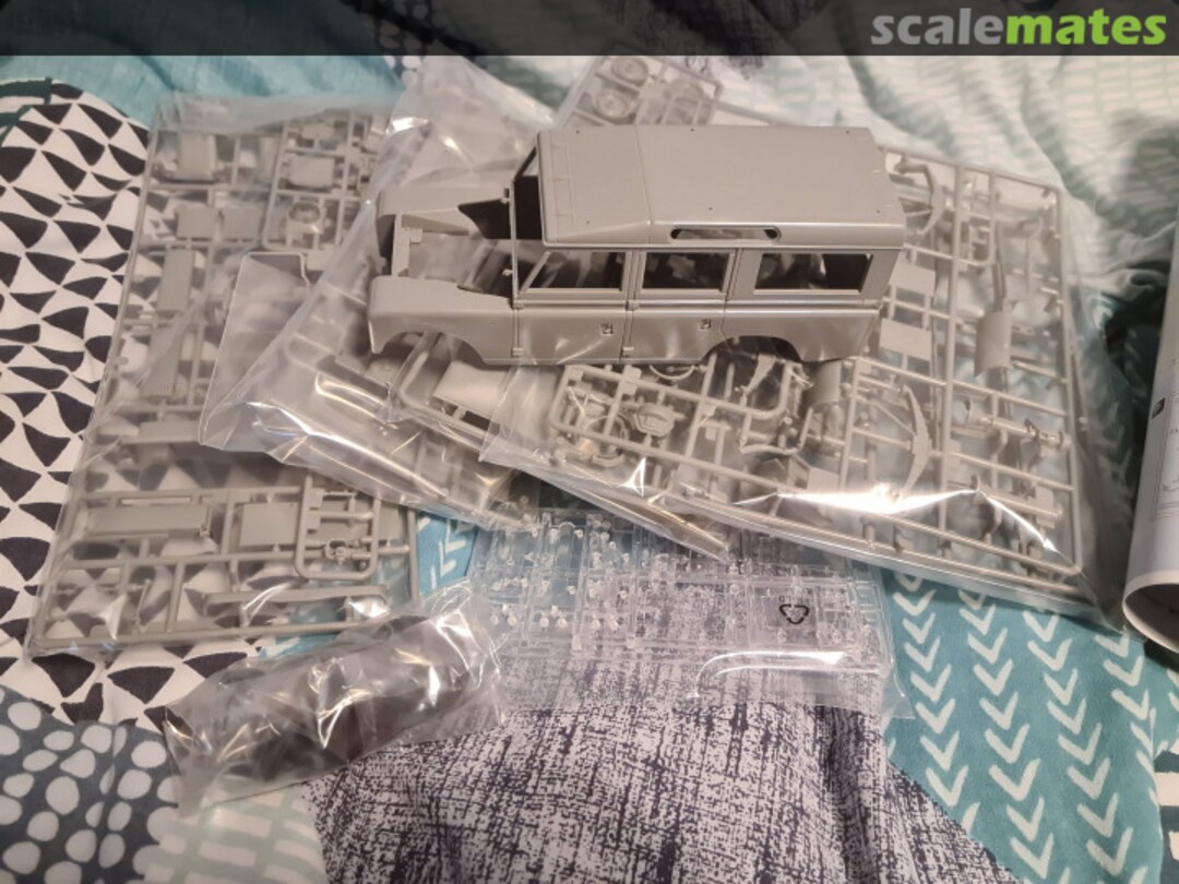 View album, image #1 View album, image #1