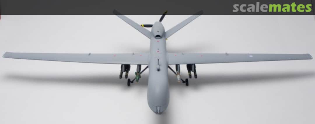 View album, image #13 View album, image #13