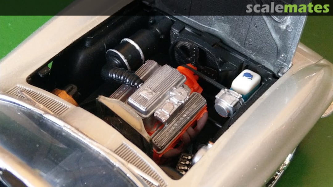 View album, image #16 View album, image #16