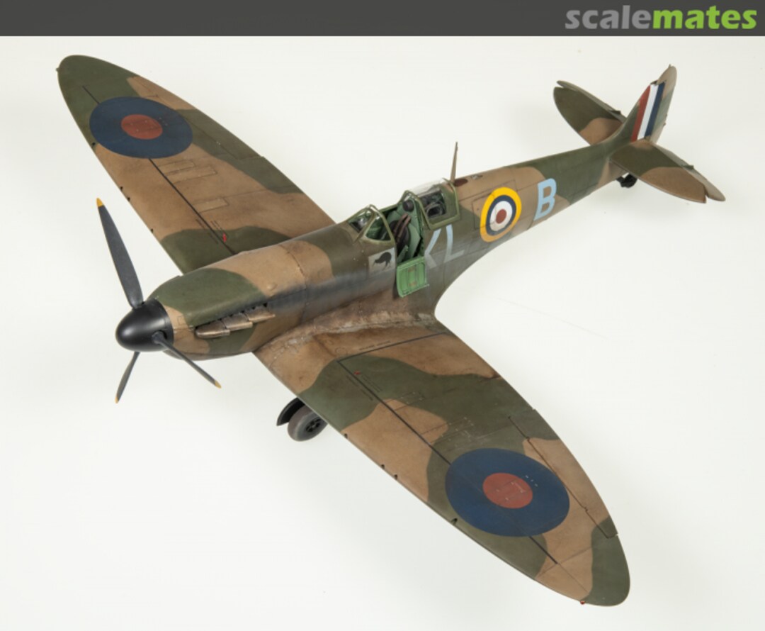 View album, image #6 View album, image #6