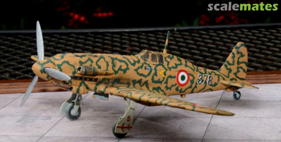 View album, image #1