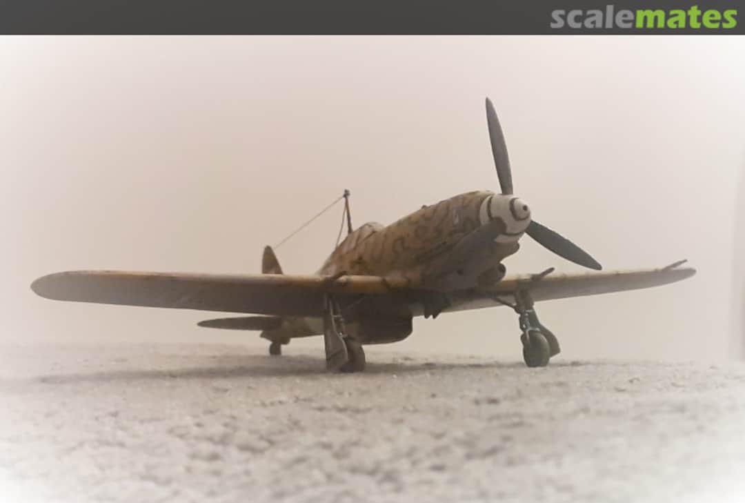 View album, image #16