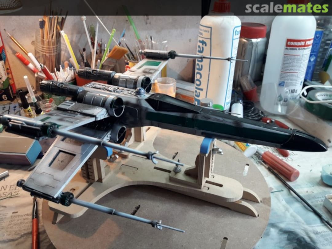 View album, image #1 View album, image #1