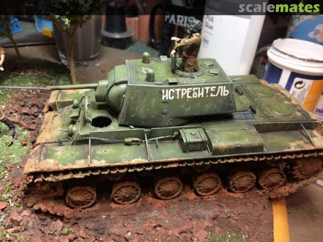 View album, image #1 View album, image #1