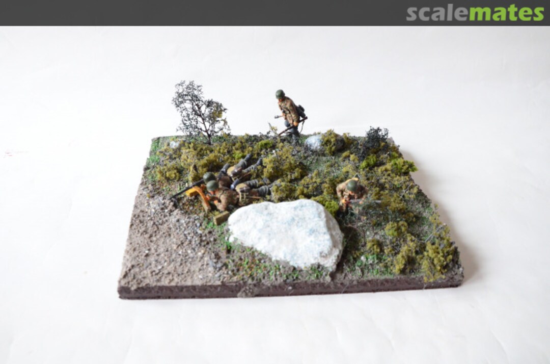 View album, image #1 View album, image #1