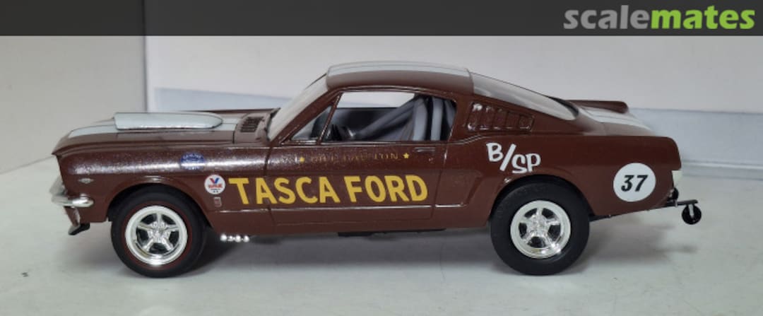 View album, image #17 View album, image #17