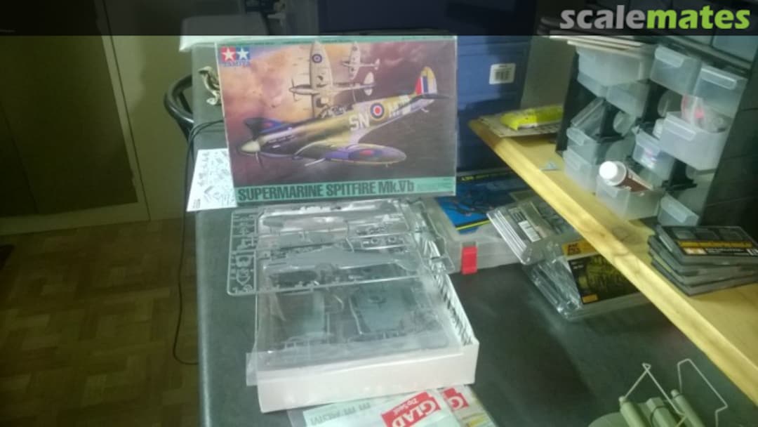 View album, image #1 View album, image #1