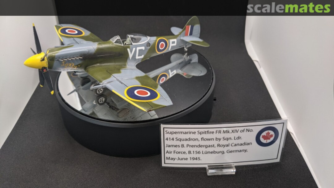 View album, image #10 View album, image #10