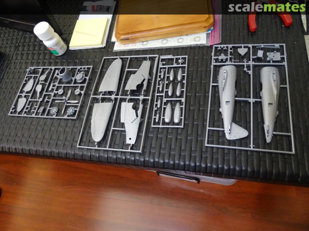 View album, image #1 View album, image #1