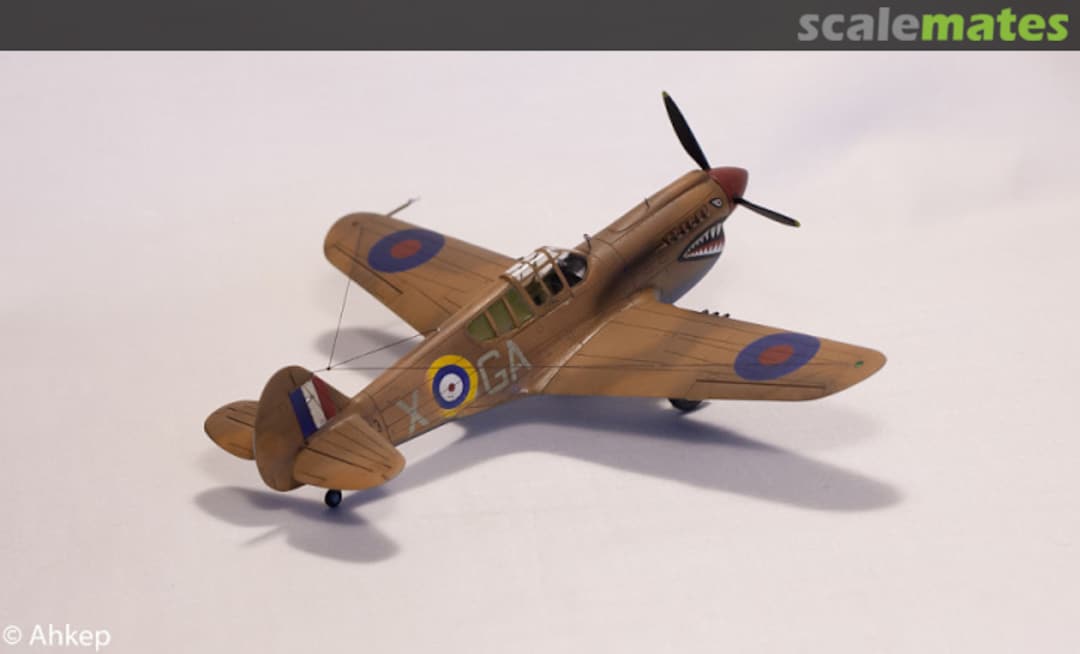 View album, image #1 View album, image #1