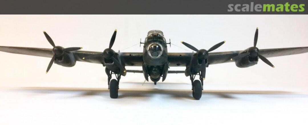 View album, image #1 View album, image #1