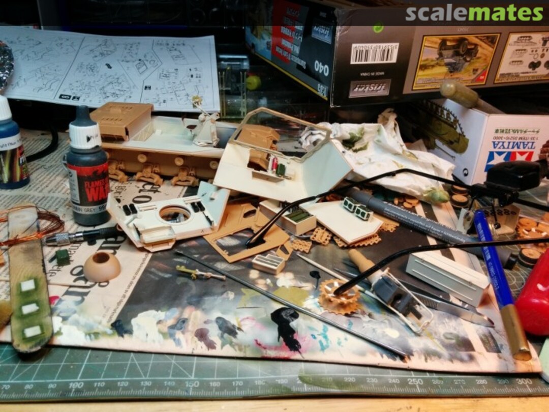 View album, image #1 View album, image #1