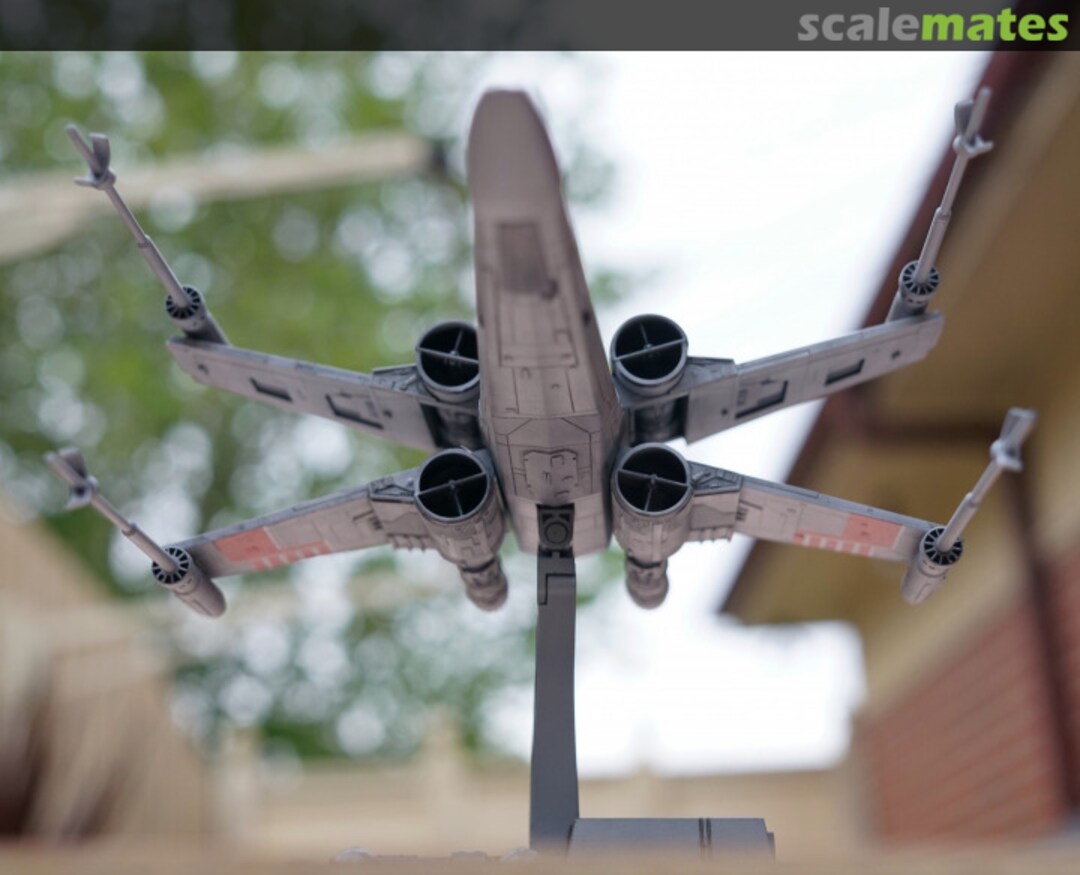 View album, image #1