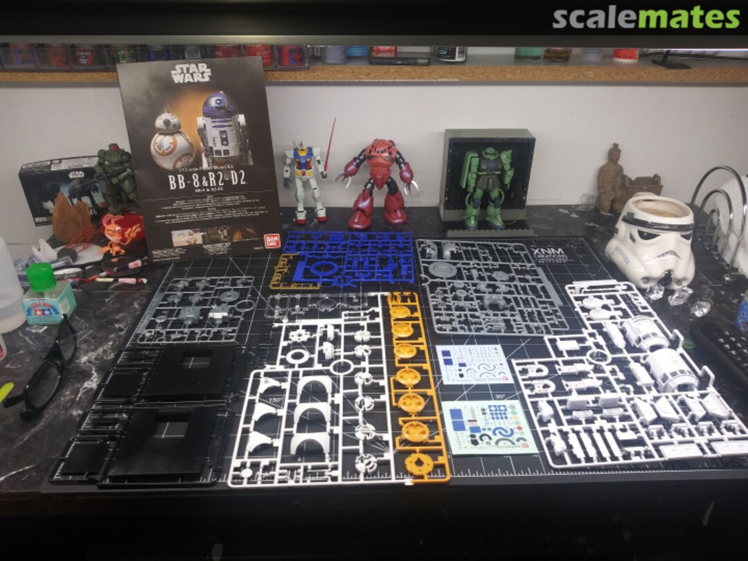 View album, image #1