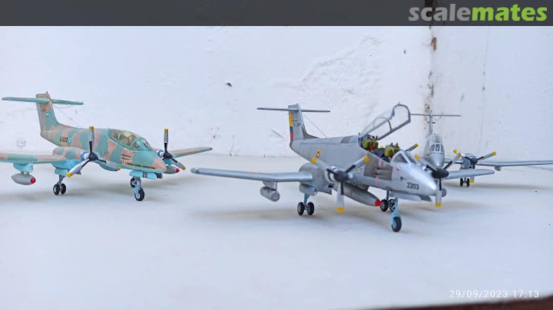 View album, image #1 View album, image #1