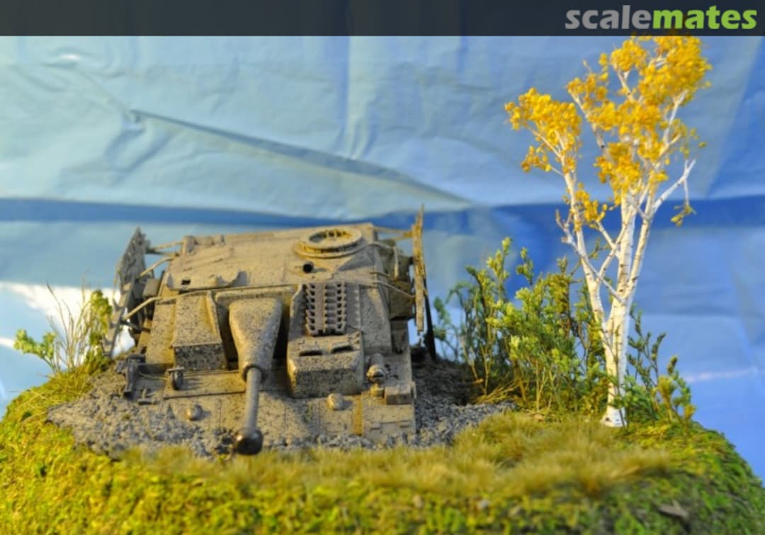 View album, image #1 View album, image #1