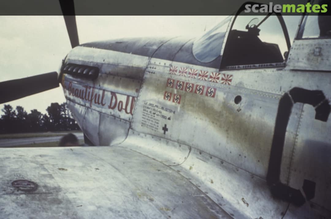 View album, image #1 View album, image #1