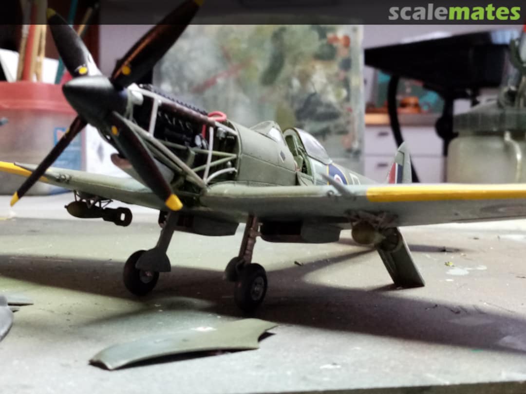 View album, image #1